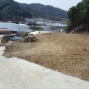 망동천 Daum카페