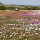 백인농장 이미지