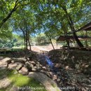 물댄동산펜션A | 시원한 계곡뷰 한방오리백숙 즐기며 물놀이장까지 진달래동산 솔직후기