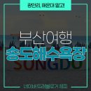 잿마을 | 부산 송도해수욕장! 입장료 없이 재밌게 즐기는 방법들