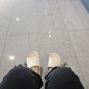 커피빈고대안암병원