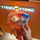 테마와 하루(농어촌 체험) | 대구 땅땅치킨랜드 테마파크 치킨 체험 햄버거 만들기 5살 아이랑 당일 예약 성공 후기