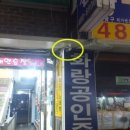 예술노래연습장 이미지