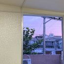 이사알바