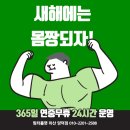 팀터틀랫 마산양덕점 이미지