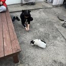 다현상사 이미지