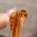 우정찜닭 이미지