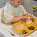 과일의시작야미석촌호수점 | 야미타미 유아식 반찬 평택 새벽배송 정기배송 가능한 아기 반찬 국 밥 먹여본 후기