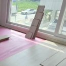 벽지 뜯는 강아지&가람 이미지