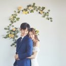 더 스튜 이미지