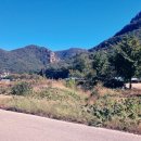 한천면사무소 이미지