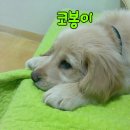 안녕하세요 이미지