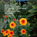 큰소망 이미지