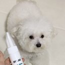 보나덴탈 | 강아지 입냄새 제거 뿌리는 애견 치약 바이랩 덴탈스프레이