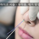 하이코코 이미지