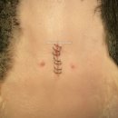 파랑새동물병원 이미지