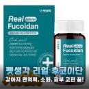 꼬리치는강아지 | 펫생각 리얼 후코이단, 우리 강아지 면역력과 소화 고민까지 한 번에 해결한 솔직 후기