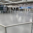 왈왈애견 이미지