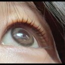 니어앤디어 이미지