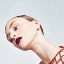 펠릭스팜 이미지