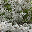 순천만국가정원(동문) 이미지