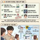 반려안