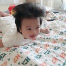 블랙트리 하우스 이미지