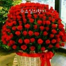 아침 운동길 희망대 공원길ㅡ애완견과 아침 산책길 ㅡ고추잠자리 조 용필 노래ㅡ 그댈위한 멜로디 임 영웅 노래ㅡ내여자 라니까 이 승기 노래 이미지