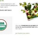 카마노