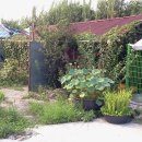 대지파크 이미지