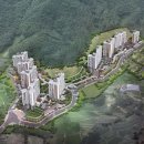 숲속의아침 이미지