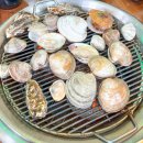 돌섬호남