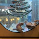 고양이사랑채 이미지