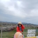 한우목장 이미지