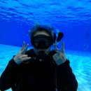 스쿠버월드 이미지