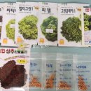 솔마1로 이미지