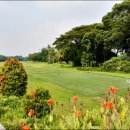 모던골프 이미지