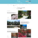 평창어울림펜션 이미지