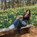 서산스포츠댄스학원 이미지