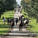 국립축산과학원 난지축산연구소 이미지