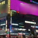 춤포장나이트