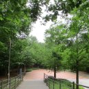 덕동산공원1 이미지