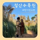 청산-3 | 가을여행추천 청산수목원 3번가본 후기