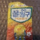 1981년 삼양 꿀짱구 이미지