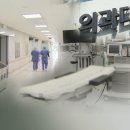 전남바이오진흥원노동조합 | 政, ‘의료혁신위원회’ 설립…“대국민 의견 반영·설득 기대”