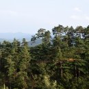 진부령 목장 이미지