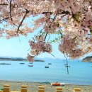 항촌소공원 이미지