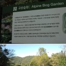 수목가든 이미지