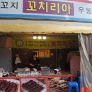 꼬치리아 이미지