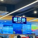 어시장 | 안양 범계 점심 횟집 맛집 속초오징어어시장 후기